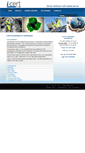 Mobile Screenshot of icert.co.za